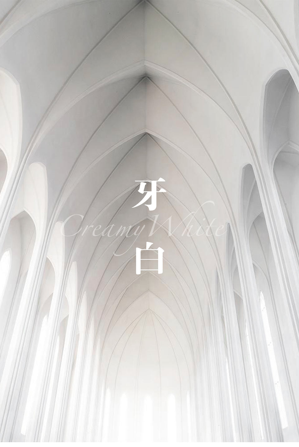 牙白---副本-拷貝_01.jpg