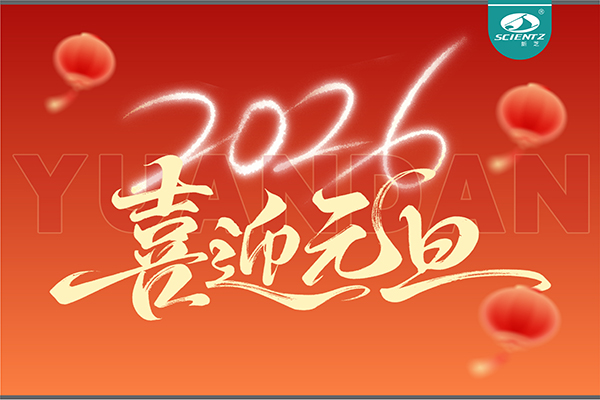 董事長周芳女士新年獻詞：心有定力，沐光而行