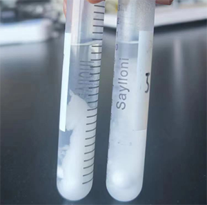 實(shí)驗結(jié)果